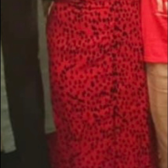 Red Patterned Dress - Picture 4 of 5